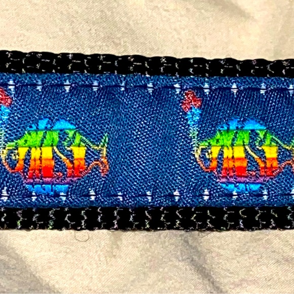 PHISH Rainbow Dog Leash + Donut Squeaky - Picture 2 of 6